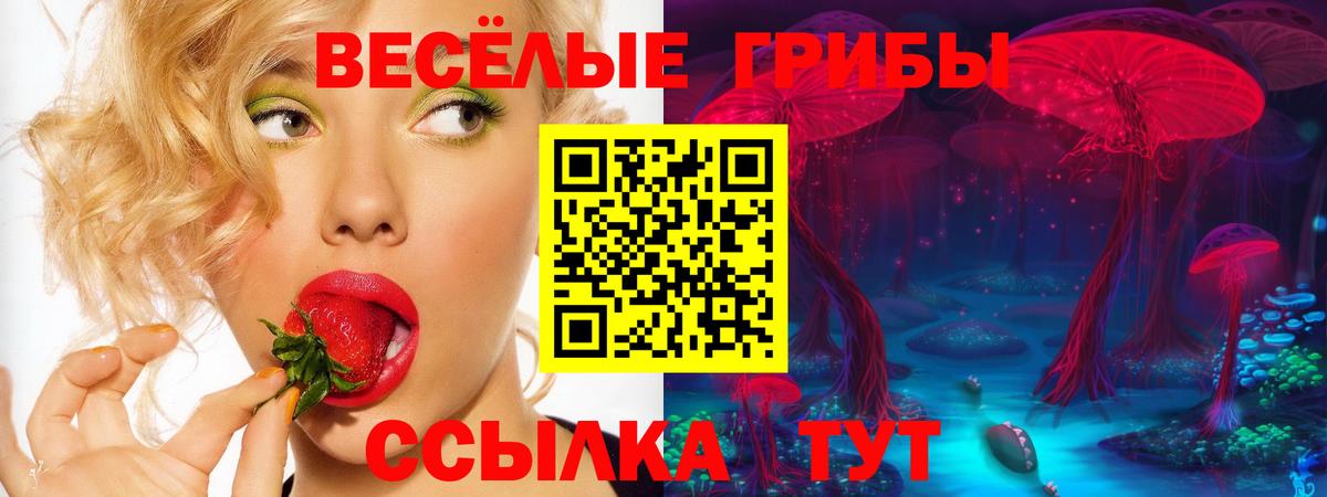 Псилоцибиновые грибы Psilocybe  Псилоцибиновые грибы прущие грибы  Вход с VPN  Костомукша 