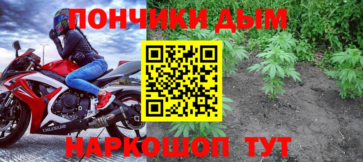 Бошки Шишки тримм Костомукша